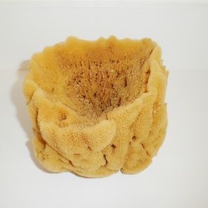 Anthropologie Accents - Large Natural SEA SPONGE unbleached Nautical Decor Anthropologie Accents - Large Natural SEA SPONGE unbleached Nautical Decor